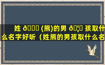 姓 💐 (熊)的男 🦟 孩取什么名字好听（姓熊的男孩取什么名字好听2021年）